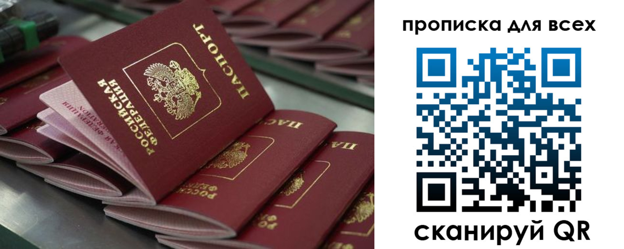 найти адрес прописки в Торопеце